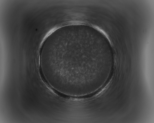 X0000085821365200703231348