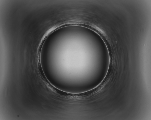 X0000085821366200703231347