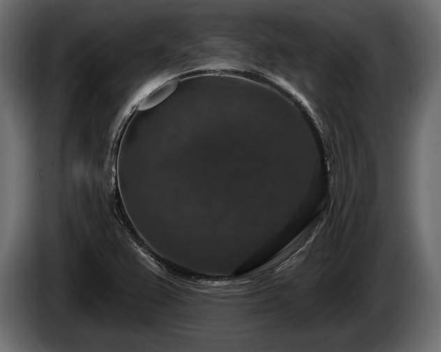 X0000085821367200703231347