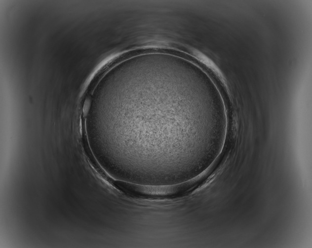 X0000085821368200703231347