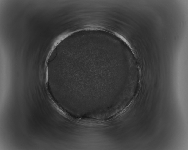 X0000085821371200703231347