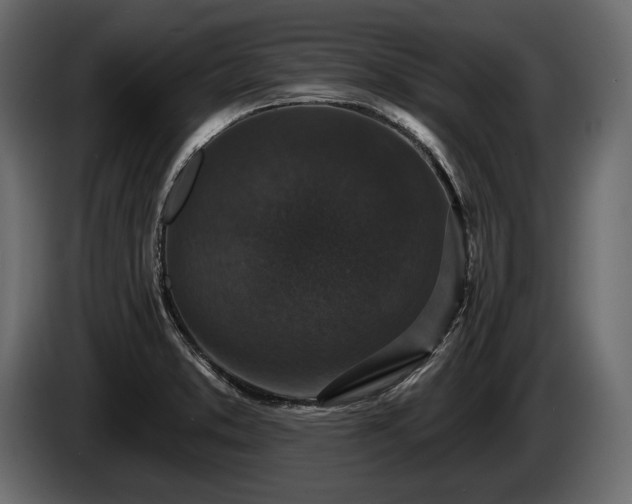 X0000085821373200703231347