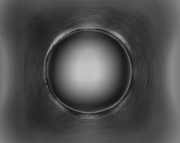 X0000085821374200703231347