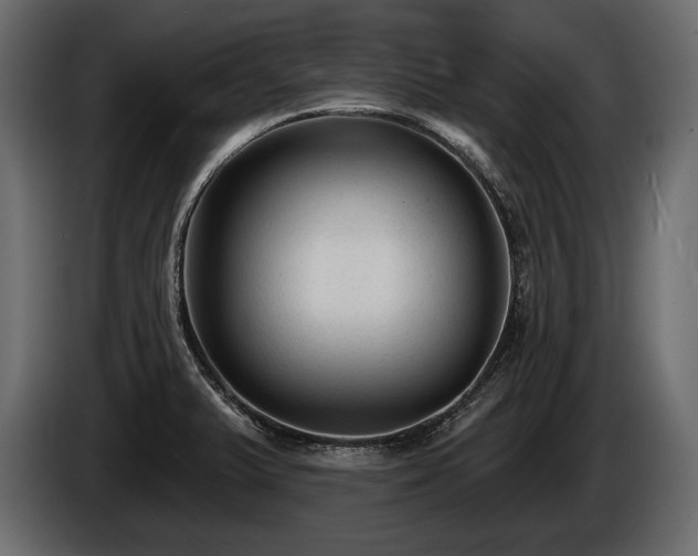 X0000085821375200703231347