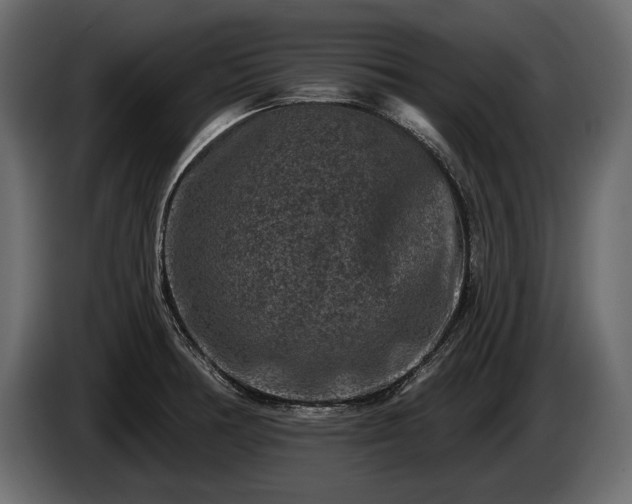 X0000085821378200703231347