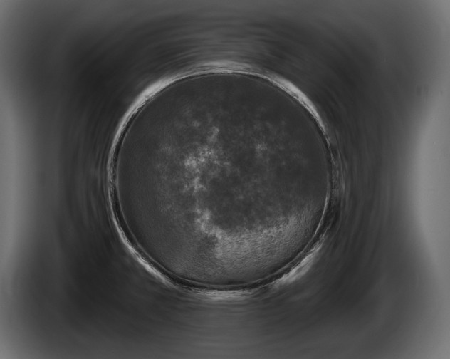 X0000085821381200703231347