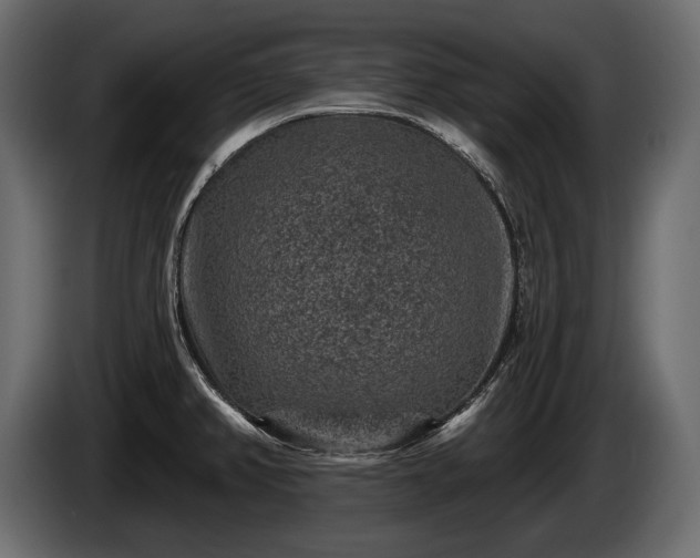 X0000085821382200703231347
