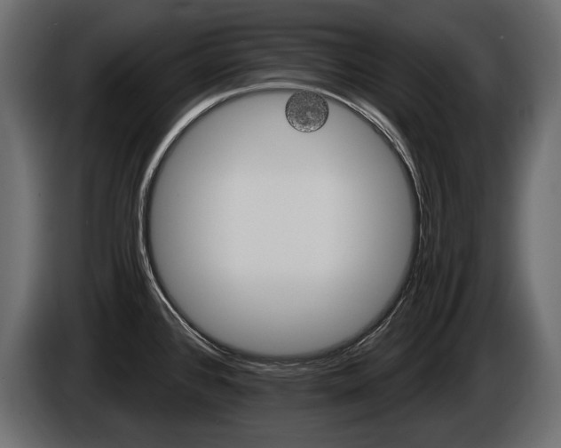 X0000085821384200703231347