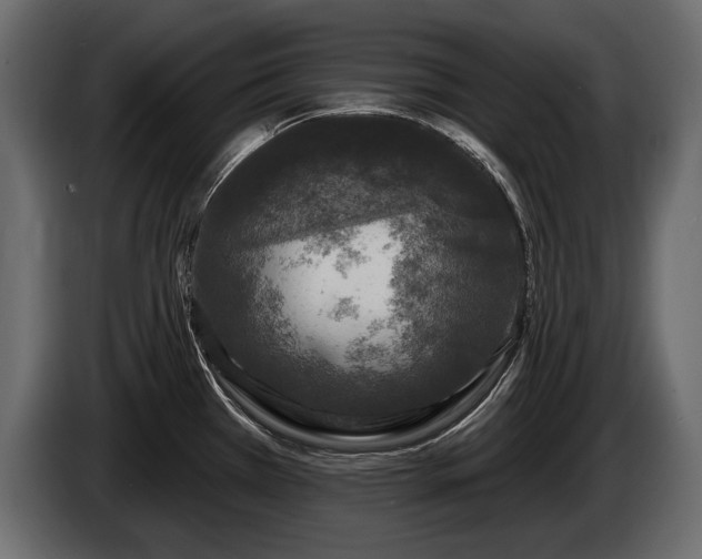 X0000085821385200703231347