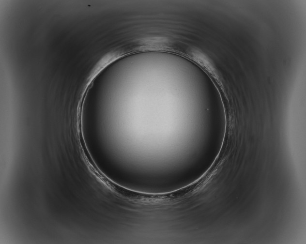 X0000085821386200703231347