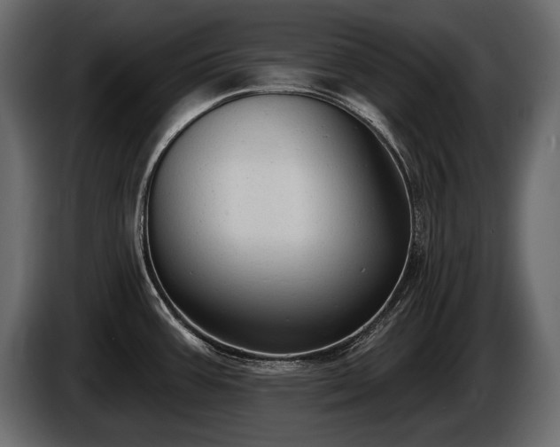 X0000085821387200703231347