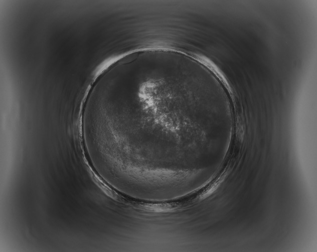 X0000085821388200703231347