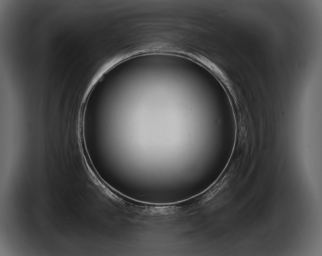 X0000085821390200703231347