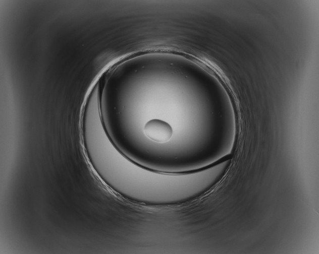 X0000085821392200703231347