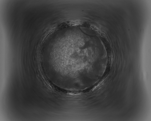X0000085821393200703231346
