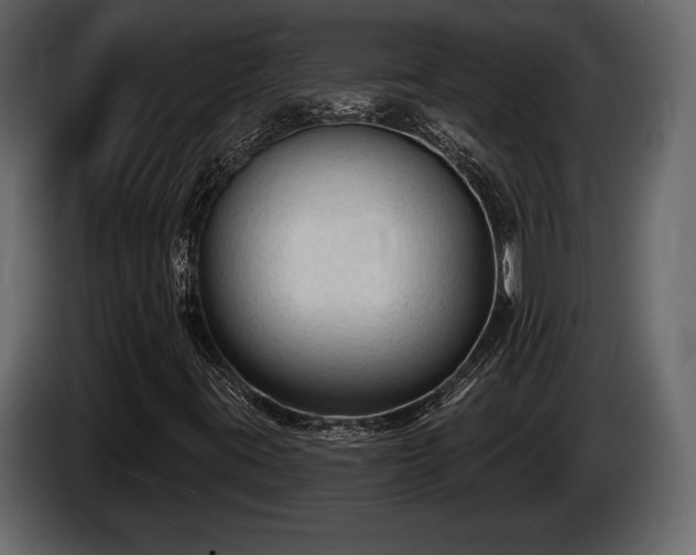 X0000085821395200703231346