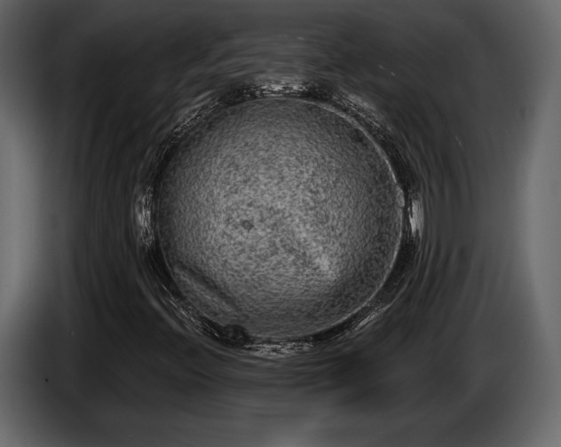 X0000085821396200703231346