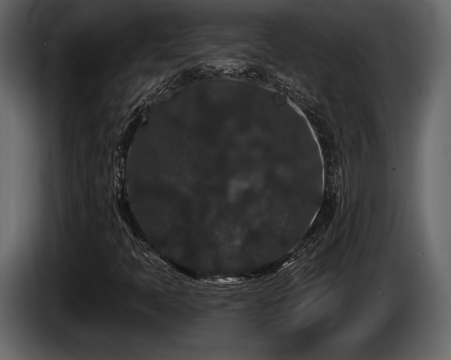 X0000085821397200703231347