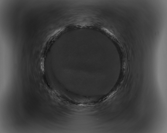 X0000085821398200703231347