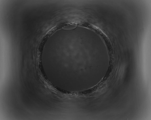 X0000085821399200703231347