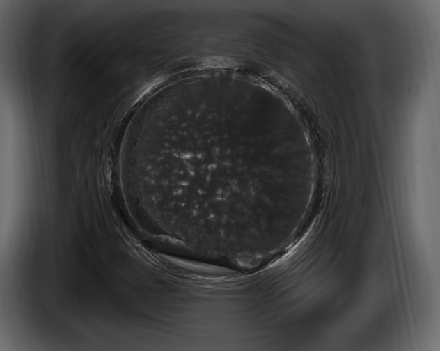 X0000085821401200703231347