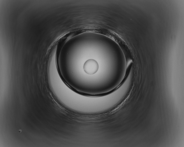 X0000085821402200703231347