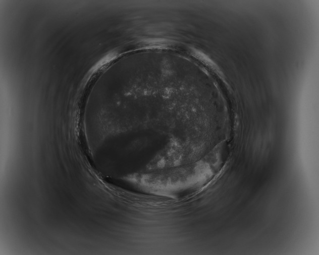 X0000085821411200703231347