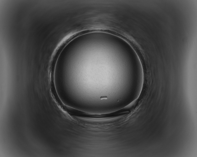X0000085821416200703231347