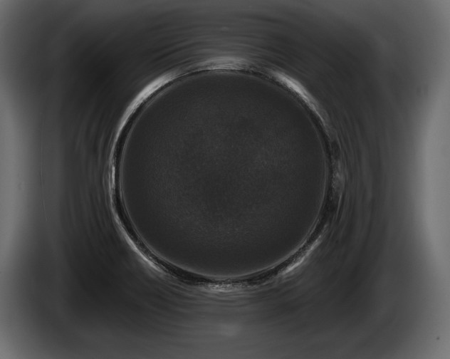 X0000085821418200703231347