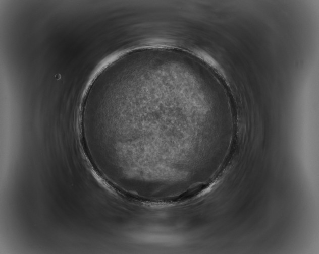 X0000085821421200703231347
