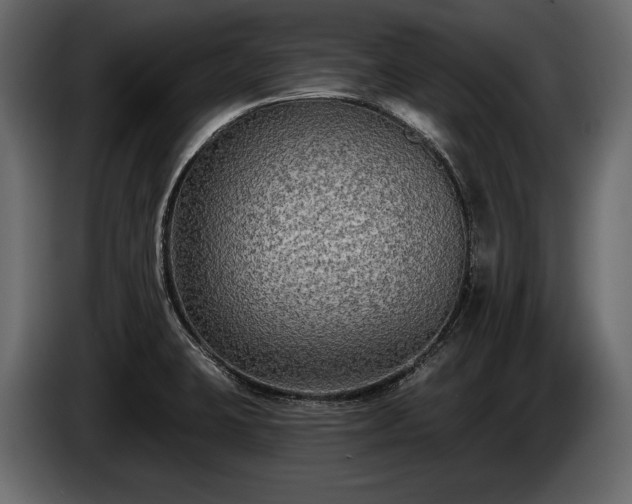 X0000085821423200703231347