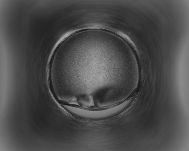 X0000085821424200703231347