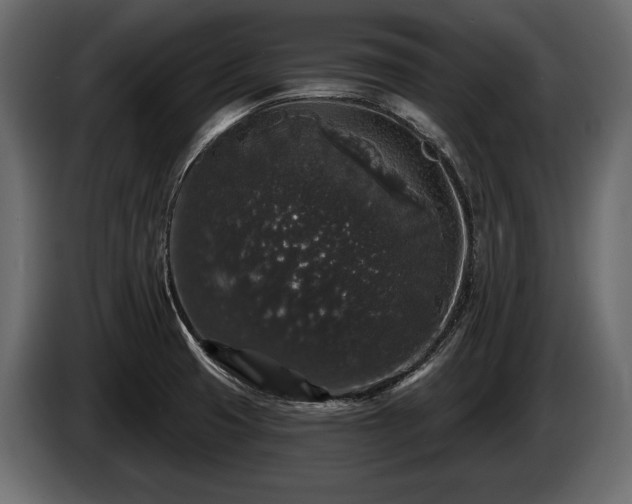 X0000085821425200703231347