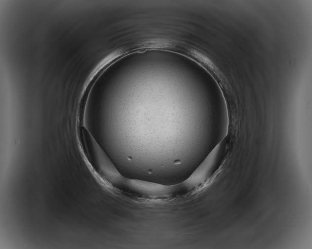 X0000085821426200703231347