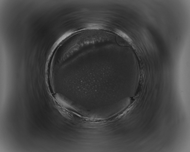 X0000085821427200703231347