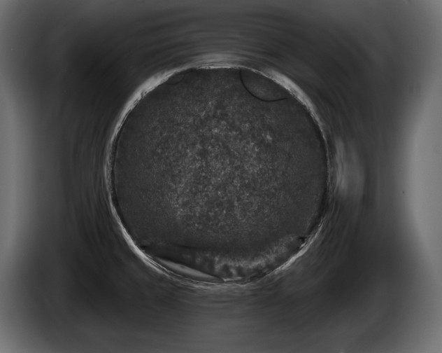 X0000085821429200703231347