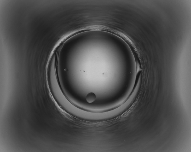 X0000085821430200703231347
