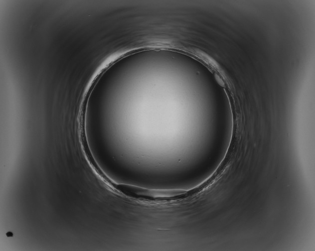 X0000085821432200703231347