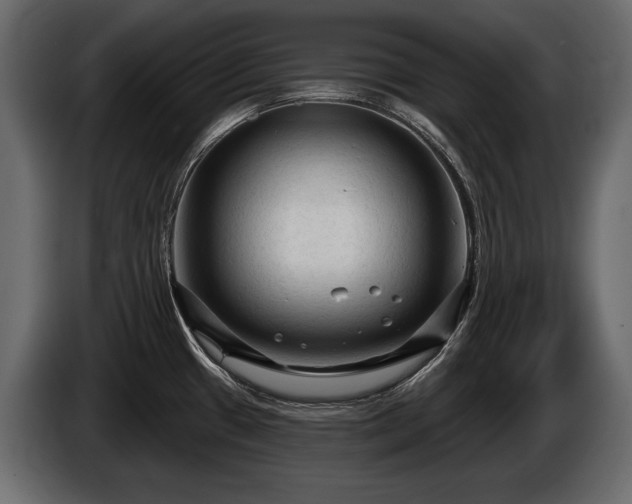 X0000085821433200703231347