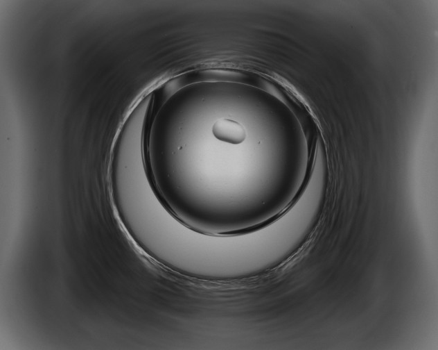 X0000085821434200703231347
