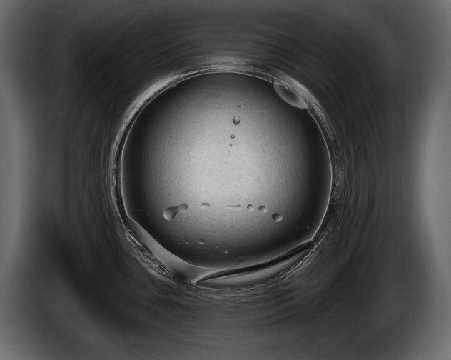 X0000085821435200703231347