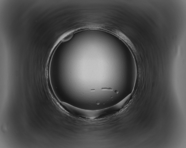 X0000085821436200703231347