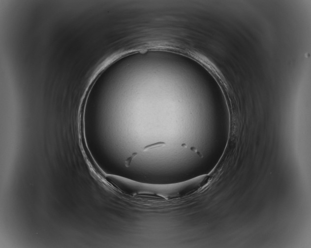 X0000085821439200703231347