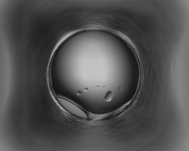 X0000085821440200703231347