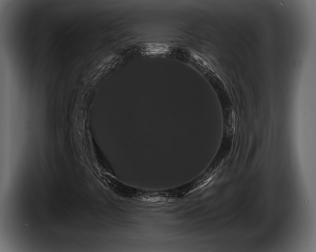 X0000085821441200703231346