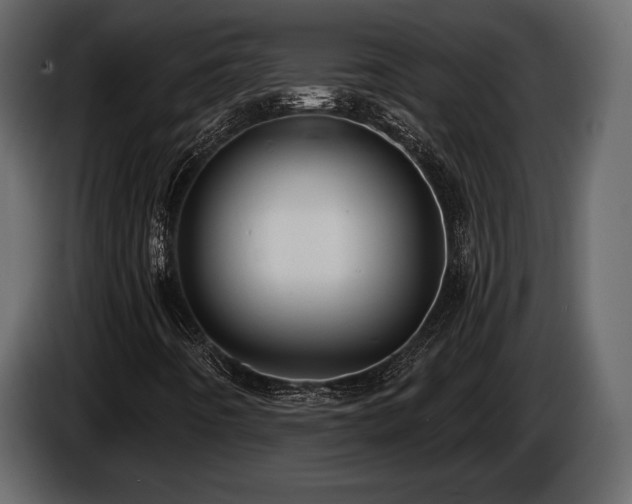 X0000085821442200703231346