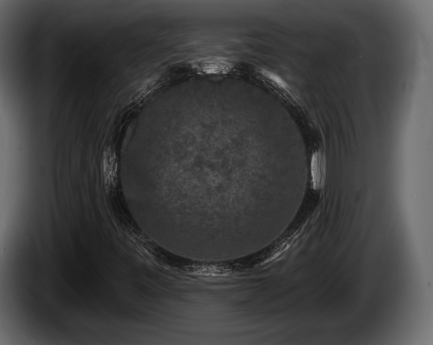 X0000085821443200703231346