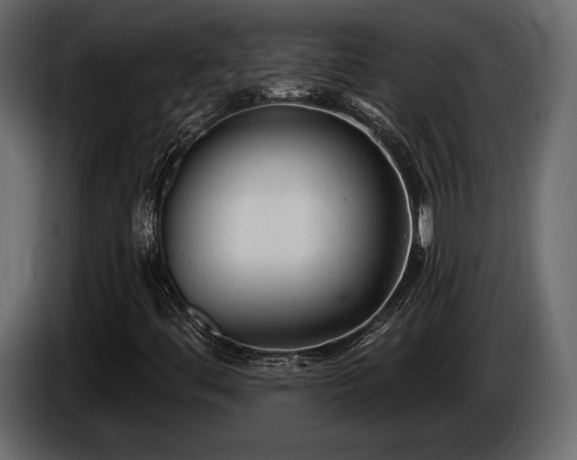 X0000085821444200703231346
