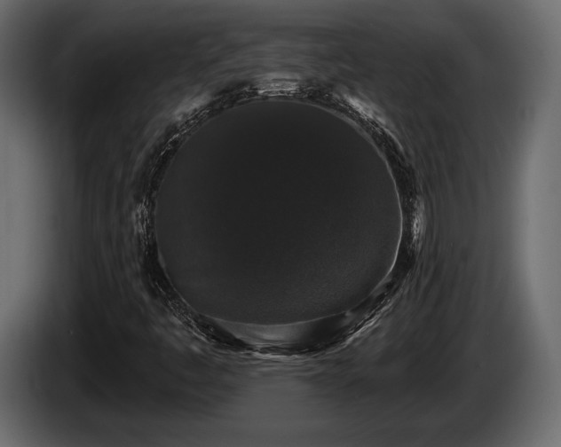 X0000085821445200703231346