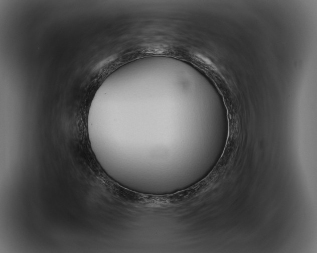 X0000085821446200703231346